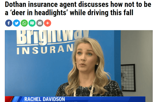 Auto vs. Deer Agency Owner advice deer