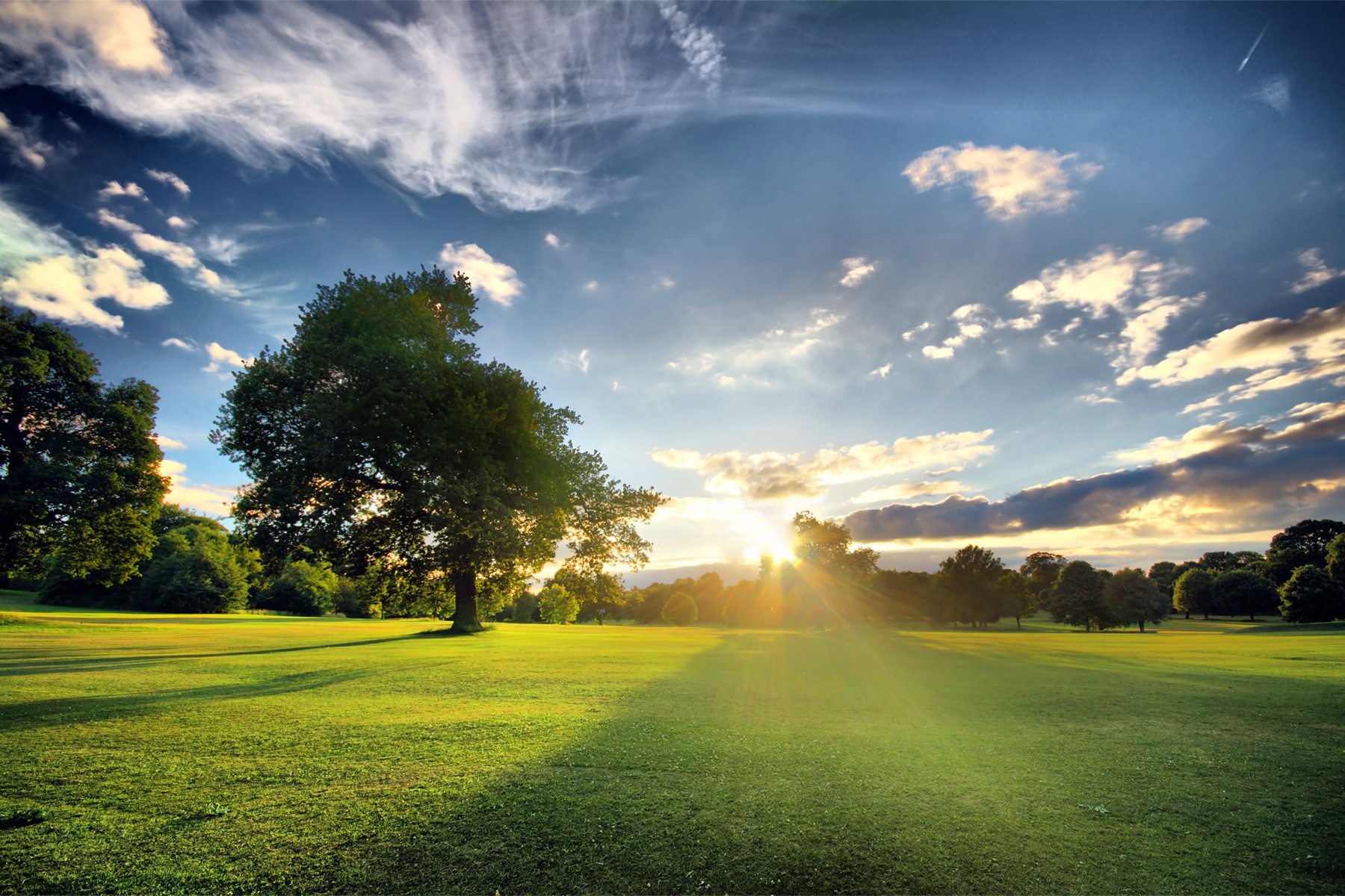 Experienced Insurance Agent, Cynthia Echevarria, joins Brightway, The Starkey Agency