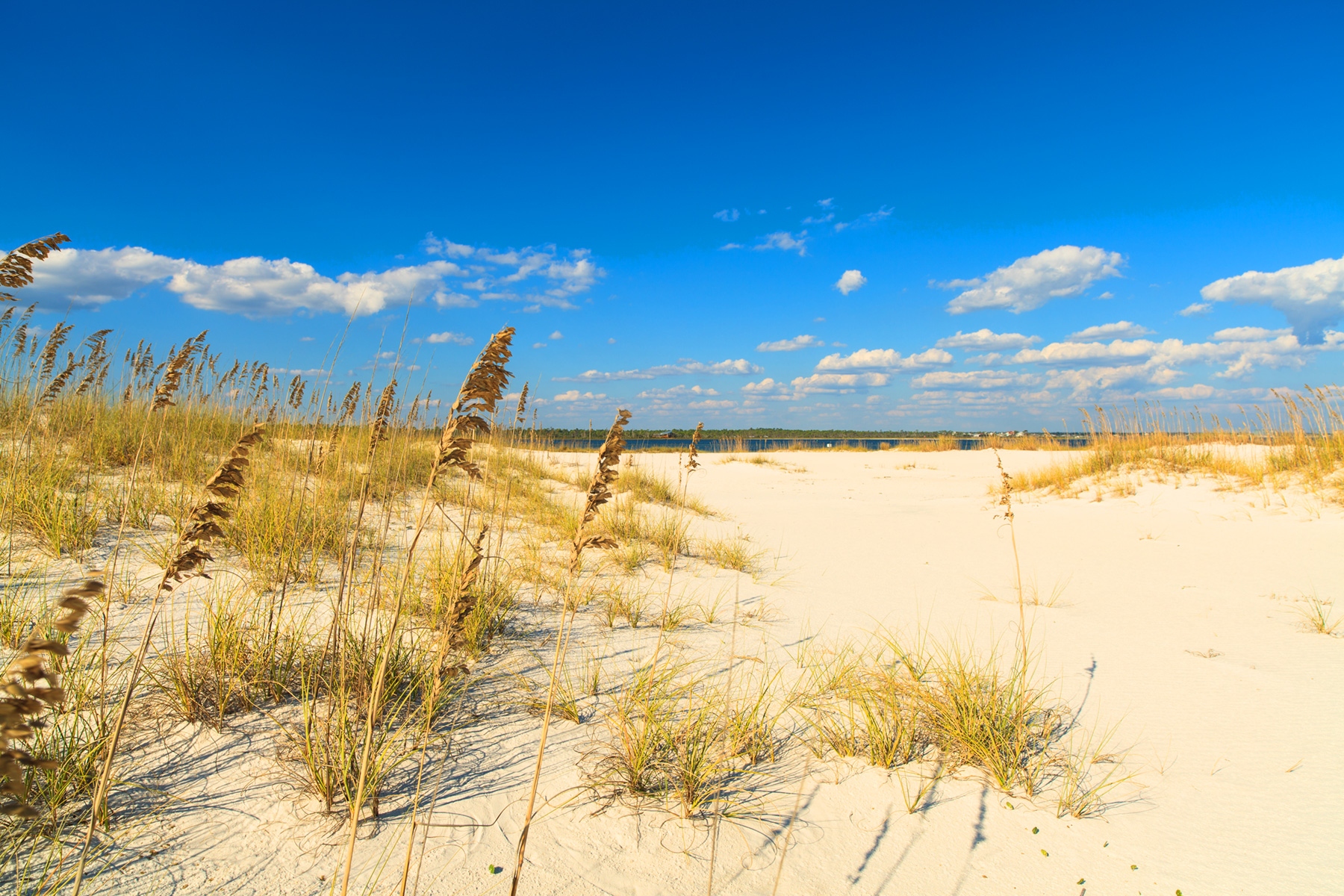 Ashley Casey becomes the newest Multi-Unit Owner with Brightway Insurance