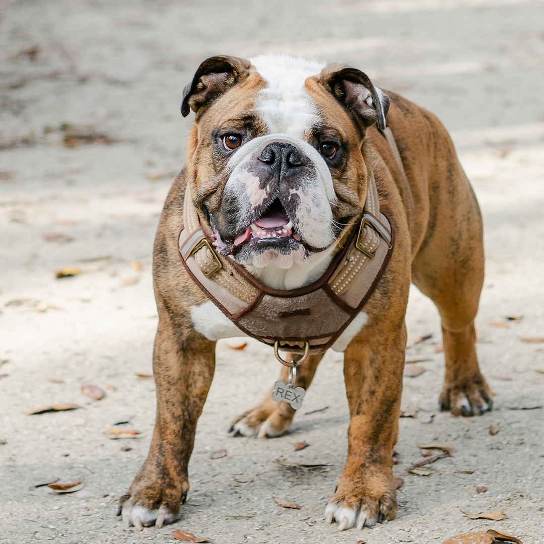 Rex Mathewson from The Coastal Agency, Brightway Insurance