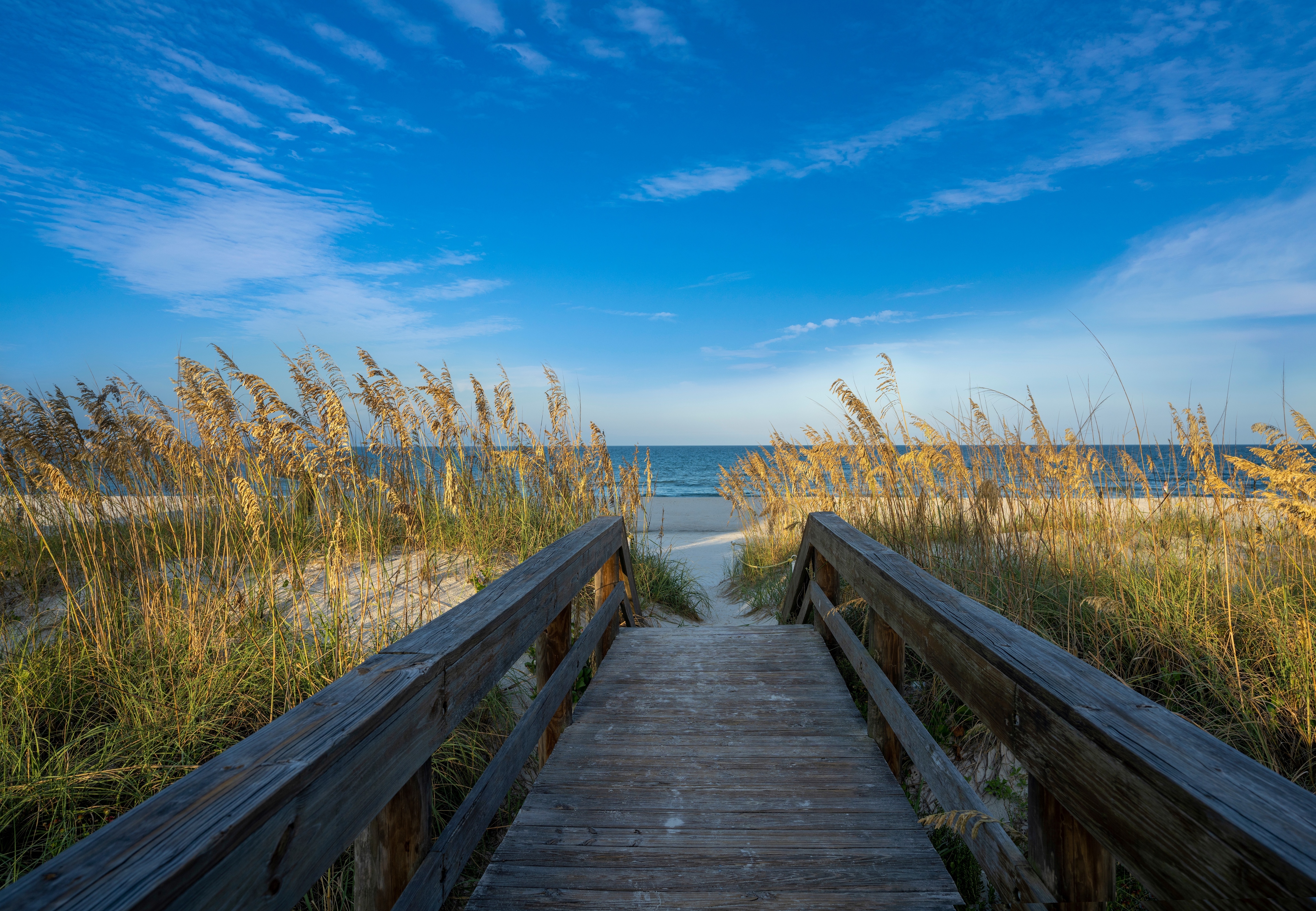 agency team hero image