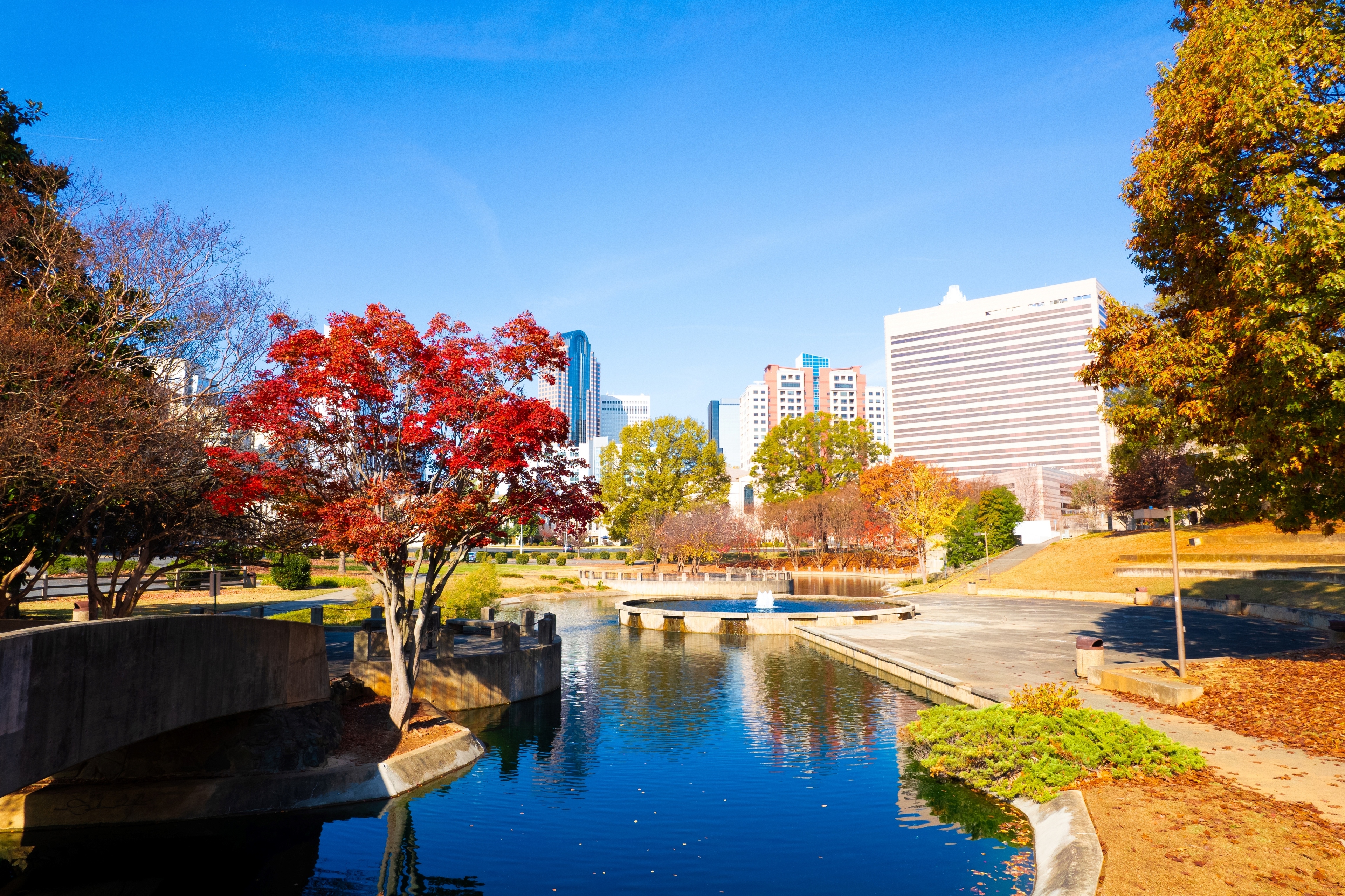 agency team hero image